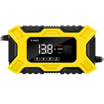 가정용자동차충전기 12V 24V 배터리 충전기 8A 6A 4A 오토바이 지게차 납산 자동차 AGM 스마트 고속, 04 AU Plug