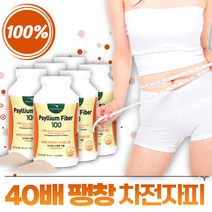 식약처 기능성 인증 차전자피 식이섬유 분말 영양제 차전차피 가루 보조제 차전자 씨앗 변비움 활동 직빵 수용성 섬유소 섬유질 psyllium 장 장청소 장운동 임산부 부모님 노인, 6개, 300g
