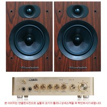 사가 DAC앰프 DX500+와피데일 AM20.1 앰프패키지, 카나레407(2M-2M)