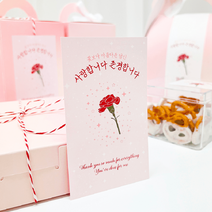 박시스트 카네이션 사각형 카드 7x12cm, 50개