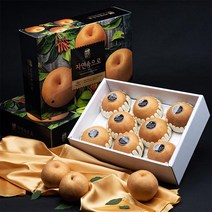 [자연맛남] 명품 나주배 선물세트 5kg (7-8과), 단품