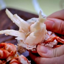 자숙 랍스터 버터구이 자이언트킹 대왕 랍스타 캐나다 크레이피쉬, 살아있는 활랍스터 -500g-, 1개