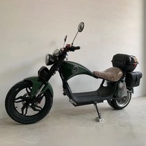 스마트 전기 자전거 Bobber Chopper 60 12AH Riding 3555km/h 전방 및 후방 오일 브레이크 디스크 시티 코코 스쿠터, 03 60V12AH2000W