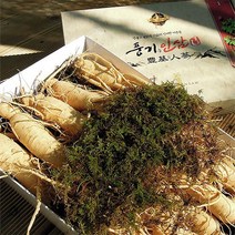 [풍기인삼] 6년근 풍기수삼(중) 750g(11~13뿌리), 1박스