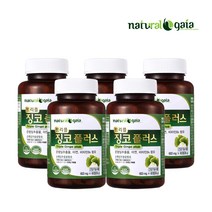 트리플 징코플러스 5병 은행잎추출물 아연 비타민B6 혈행개선도움 면역력도움 기억력개선도움 비타민C 거봐요닷컴