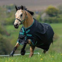 승마 포옹 말 담요 옷, 06 7.0