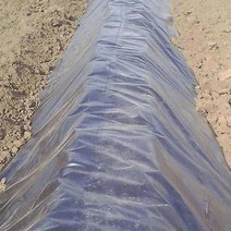 연못방수천 연못방수포 수영장 방수시트 양식장 10m, 풀 멤브레인(20s) 폭 4m 길이 10m