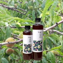 자연 발효 개복숭아원액 주스 돌복숭아, 개복숭아원액 500ml