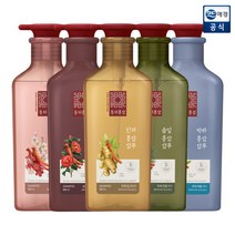 동의홍삼 두피 진정케어 솔잎 홍삼 샴푸, 1개, 500ml