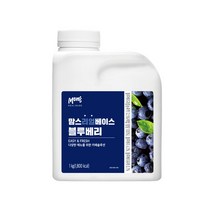 흥국F&B 리얼베이스 블루베리 1kg, 단품