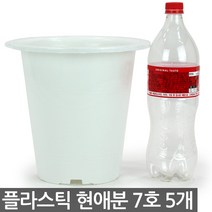 플라스틱 현애분 6호 화이트 5개 - 화분 베란다화분 꽃화분 대형화분 플라스틱화분 검정화분 블랙 화이트 흰색 파란화분, 07_한성_현애분 화이트(7호) X 5개