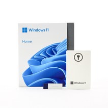 MS Windows 11 Home FPP(USB)