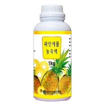 파인애플농축액(코스타리카) 1kg