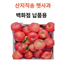 FRESH 못난이 가정용 주스용 사과, 00. 4.5kg (쥬스용), 1개