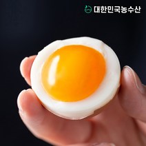 대한민국농수산 촉촉한 반숙란 30구 반숙 계란, 반숙란 30구 (한판)