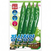 아시아종묘 고추씨앗종자 장신청양(30립)