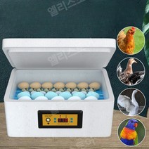 스마트 항온 부화기 소형 가정용 병아리 메추라기 조류 인큐베이터, 10구 단일전기