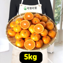 푸릇푸릇 2022년 귤 제주 감귤 한라봉 제주도귤 노지감귤 극조생귤 5kg 10kg, 제주감귤, L사이즈