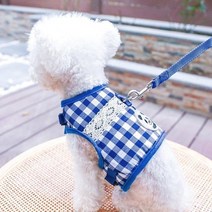 애완용품 개 강아지 목줄 신발 옷 애완장난감 격자 무늬 조끼 의류 개 카와이 가죽 끈 개 옷 인쇄 귀여운 팬더 로프 의상 봄 여름 비숑 블루 액세서리, 푸른, l