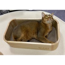 야옹이 원목 스크래쳐 리필가능 골판지 튼튼한 추천 길냥이 길고양이
