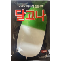 22년 달고나무 2000립 가을 김장무우 고당도 아삭이 가을무씨앗 22년햇종자