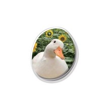 1300K 메타버스 아크릴톡 큐트 덕 Cute Duck, (디자인)큐트 덕