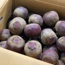 원동FS 국내산 제주 햇비트 1kg, 1봉