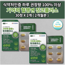 징코 플러스 코오롱제약 두뇌 뇌 건강 기억 장애 기억력 저하 감퇴 기능 향상 개선 에좋은 식품 노인성 뇌에 좋은 심장 심뇌 뇌 혈관 질환 증상 혈액 정맥 순환 순환제 영양제 30, 2개