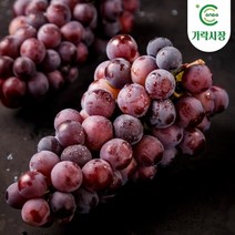 온도씨 가락시장 적포도(크림슨) 1kg