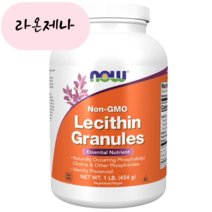 나우푸드 미국정품보장 레시틴 과립 그레뉼 454g, 1개