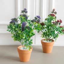 세덤화분set 30cm_R(DIY) 조화 꽃 인테리어 장식 소품, 상세설명 참조, 레드