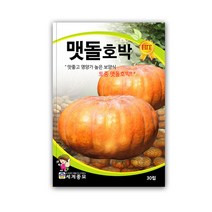 모칸도 세계 맷돌호박 30립, 1개