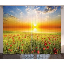 Ambesonne 플라워 커튼 수채화 부드러운 파스텔 톤의 여름 해바라기 대형 꽃잎 아트워크 거실 침실 창문 드레이프 2패널 세트 274.3cm X 160cm(108인치 x