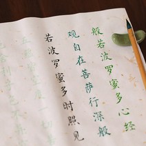 장서 붓글씨첩 입문 모사 성인 초보자 글씨 서예모-133753, 옵션22, 백지약초 12종세트 (8종세트 2색 새붓 2병 채묵)