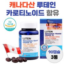 루테인 시각 적응 비타민 A E 함유 카로티노이드 lutein 남자 여자 황반 영양공급 누테인 흐릿 침침 뻑뻑 효능