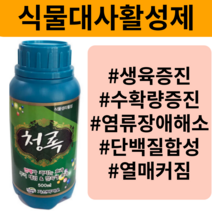 삽목발근제 소나무 비료 영양제 색택 강화 나무병충해