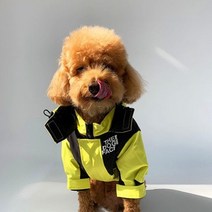 도그페이스 강아지 겨울 패딩.유앤펫, 레드2XL