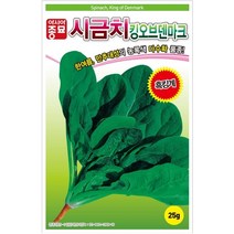 (시금치종자씨앗) 킹오브덴마크 시금치-흑킹 (25g)