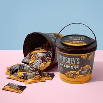 허쉬 초콜릿칩 쿠키 456g, 1개