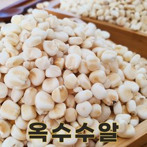 강원도 영월 22년산 찰 옥수수알 옥수수알갱이 1kg 옥수수범벅 옥수수밥, 1개