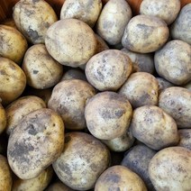 포슬포슬 햇감자 제주 햇 감자 수미감자, 중) 휴게소 통감자용 1박스, 3kg