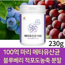 19종 혼합 100억 메타 유산균 배양분말 낙산균 블루베리 적포도 농축 퍼플푸드 분말 가루 프리바이오틱스 필수아미노산 미네랄비타믹스, 1통