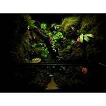 비바리움 엑소테라 팔루다리움 제작 테라리움 미니분경 만들기