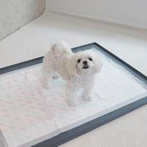 씬바이 실리콘 베리어매트 배변보조방수매트, 진그레이