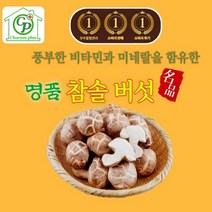 버섯 참솔버섯 송고버섯 송화고버섯 화고버섯 참송화고버섯, 1, 1kg