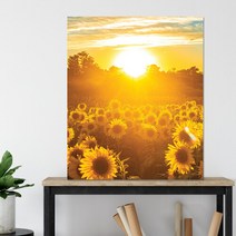 트리빌리지 벽꾸미기 특별한선물 캔버스 해바라기 사진액자(50x60cm), 선택완료
