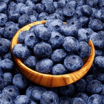 블루베리 생과 125g(2-12팩) 칠레산, 4팩