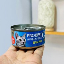 도매콜 제휴사 프로베스트 캣푸드 참치+치어80g 고양이캔 습식사료, DDB_상품선택
