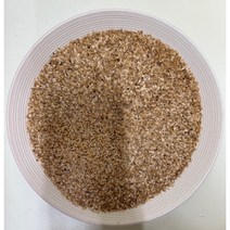 강원도 홍천 더덕 종자 씨앗 300g