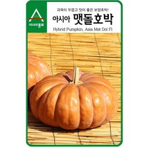 이삭 Asia 맷돌호박씨앗 (25립) 재배 쉽고 저장성 굿